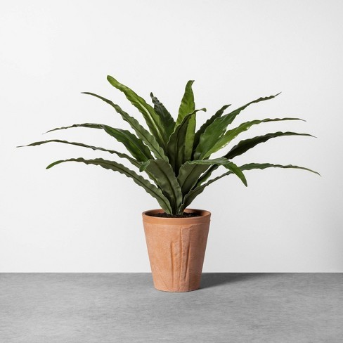 Faux Potted Plant Fern - Hearth & Hand™ with Magnolia | Target