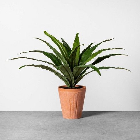 Faux Potted Plant Fern - Hearth & Hand™ with Magnolia | Target