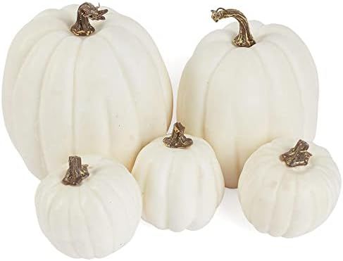 Creamy White Artificial Pumpkin Mixed Set of 5 | Amazon (US)