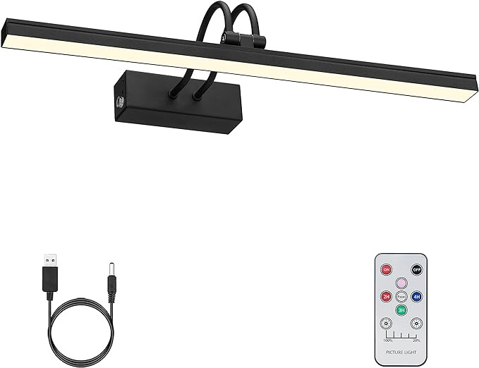 FUNCHDAY Picture Light, Wireless Rechargeable Gallery Light with Remote, 280LM Dimmable Painting ... | Amazon (US)