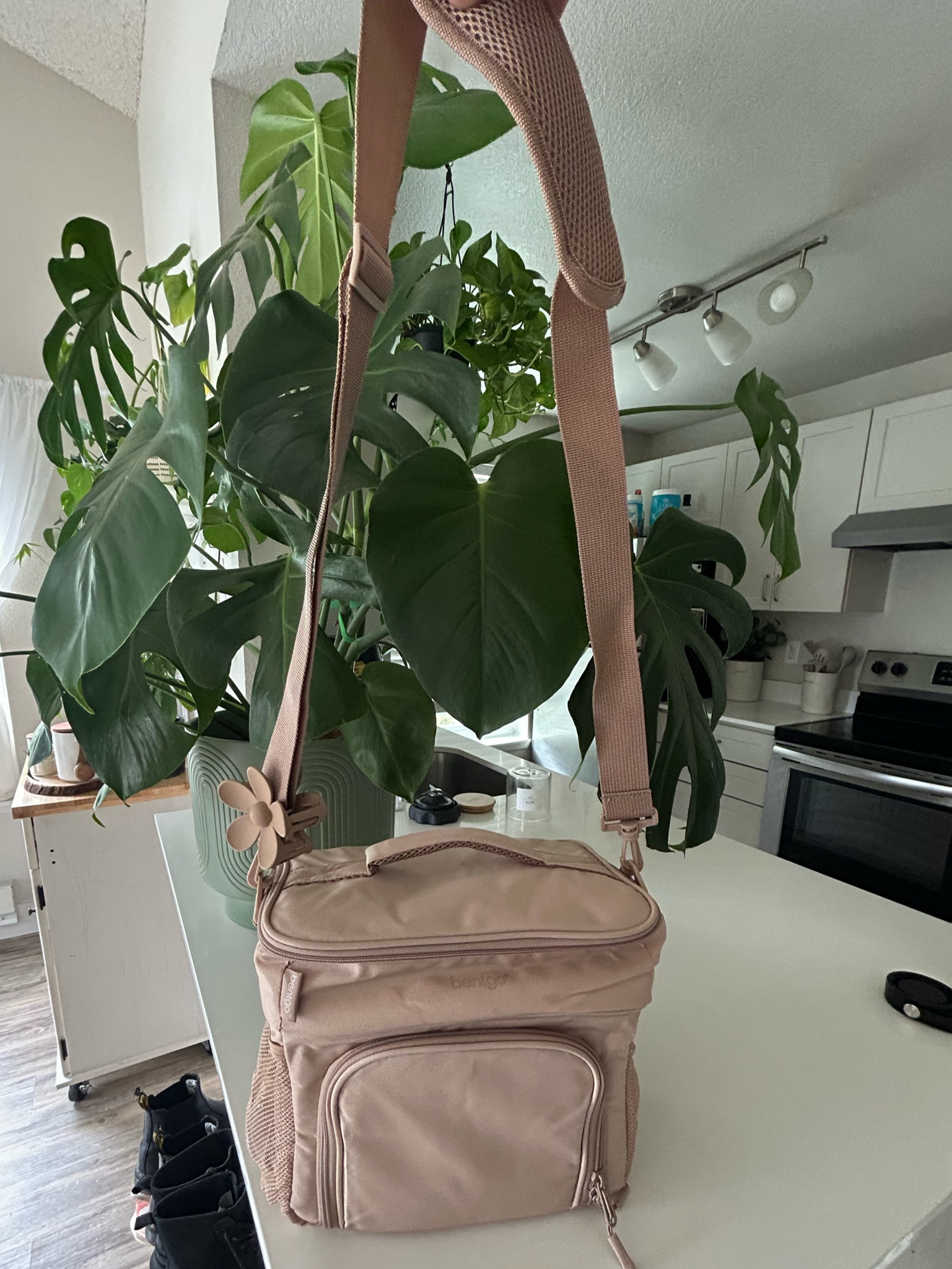 The cutest lunch pail 🤎

#LTKfindsunder50 #LTKhome #LTKfitness