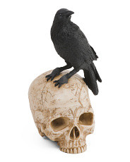 12in Resin Crow On Skull | Halloween | Marshalls | Marshalls