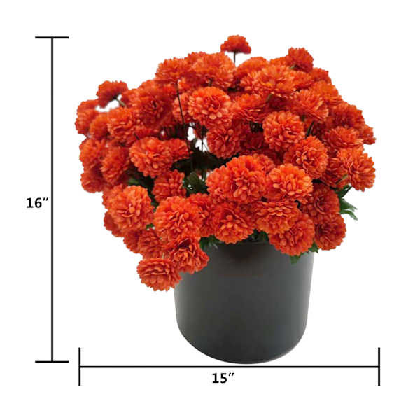 Dark Orange Mum Arrangement, 16" | At Home