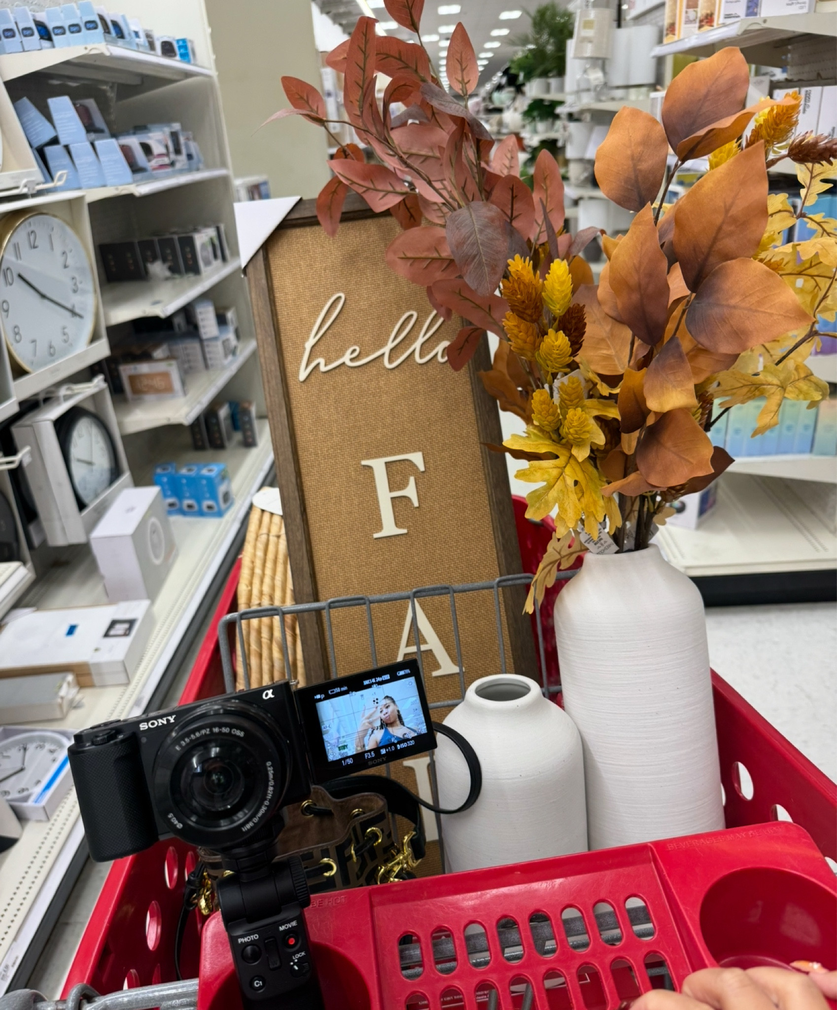 Fall Decor Shopping at Target 

#LTKHome #LTKSeasonal #LTKFindsUnder50