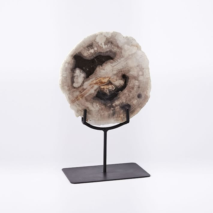 Petrified Wood Object on Stand | West Elm (US)