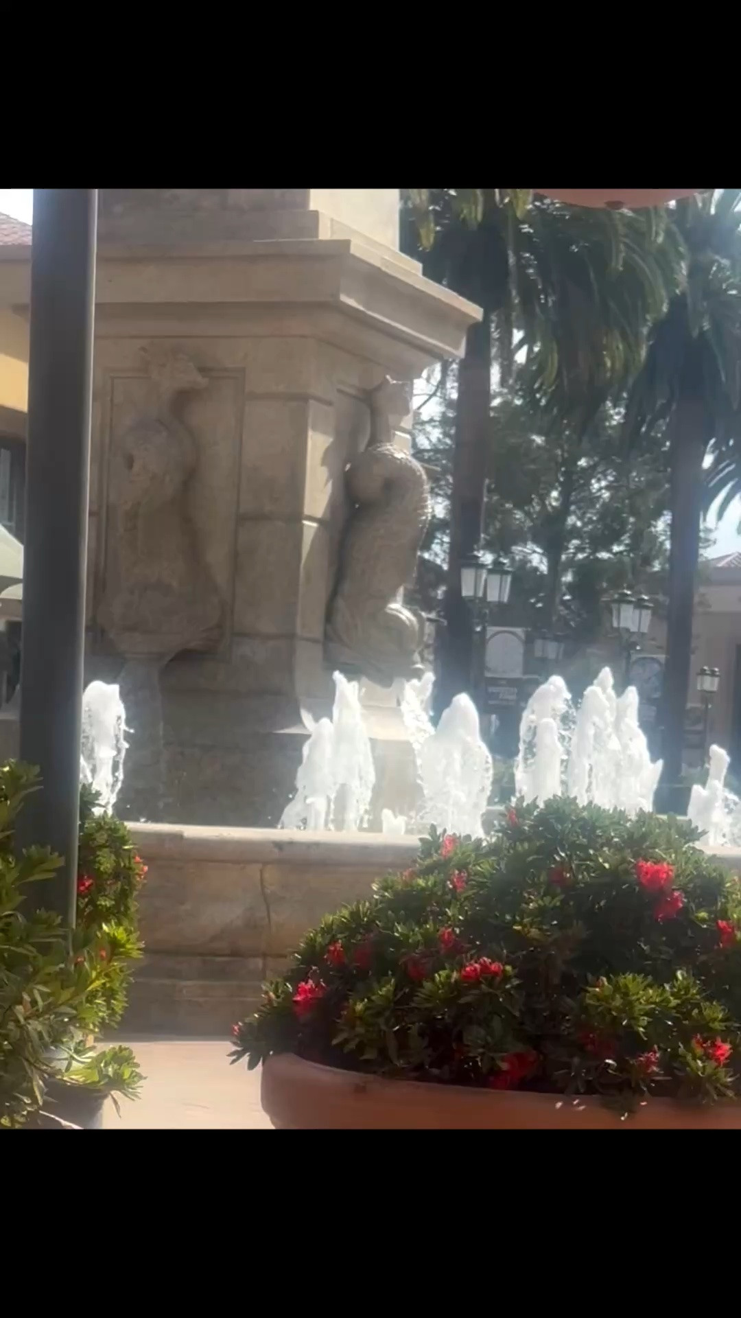 There’s something so restorative about sitting beside a fountain—the gentle sound of moving water, a little sunshine, and a quiet moment outdoors can completely shift the mood.

I love bringing that sense of well-being into an outdoor space. A beautiful fountain isn’t only a decorative feature; it adds movement, softness, and that calming background sound that makes a patio or garden feel like a private retreat.

Sometimes the best outdoor luxury is simply having a peaceful place to sit, listen to the water, and enjoy the moment.

#OutdoorFountain #Fountain #WaterFeature #OutdoorLiving #WellBeing #WellnessAtHome #OutdoorDecor #PatioDecor #GardenDesign #GardenInspiration #OutdoorInspiration #RelaxingOutdoorSpace

#LTKdayinmylife #LTKHome