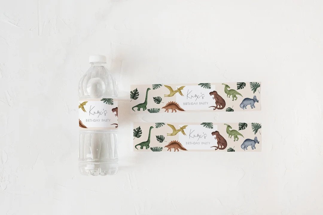 Dinosaur Water Bottle Label Template Editable Dino Water Bottle Wrap Boy Printable S230 - Etsy | Etsy (US)