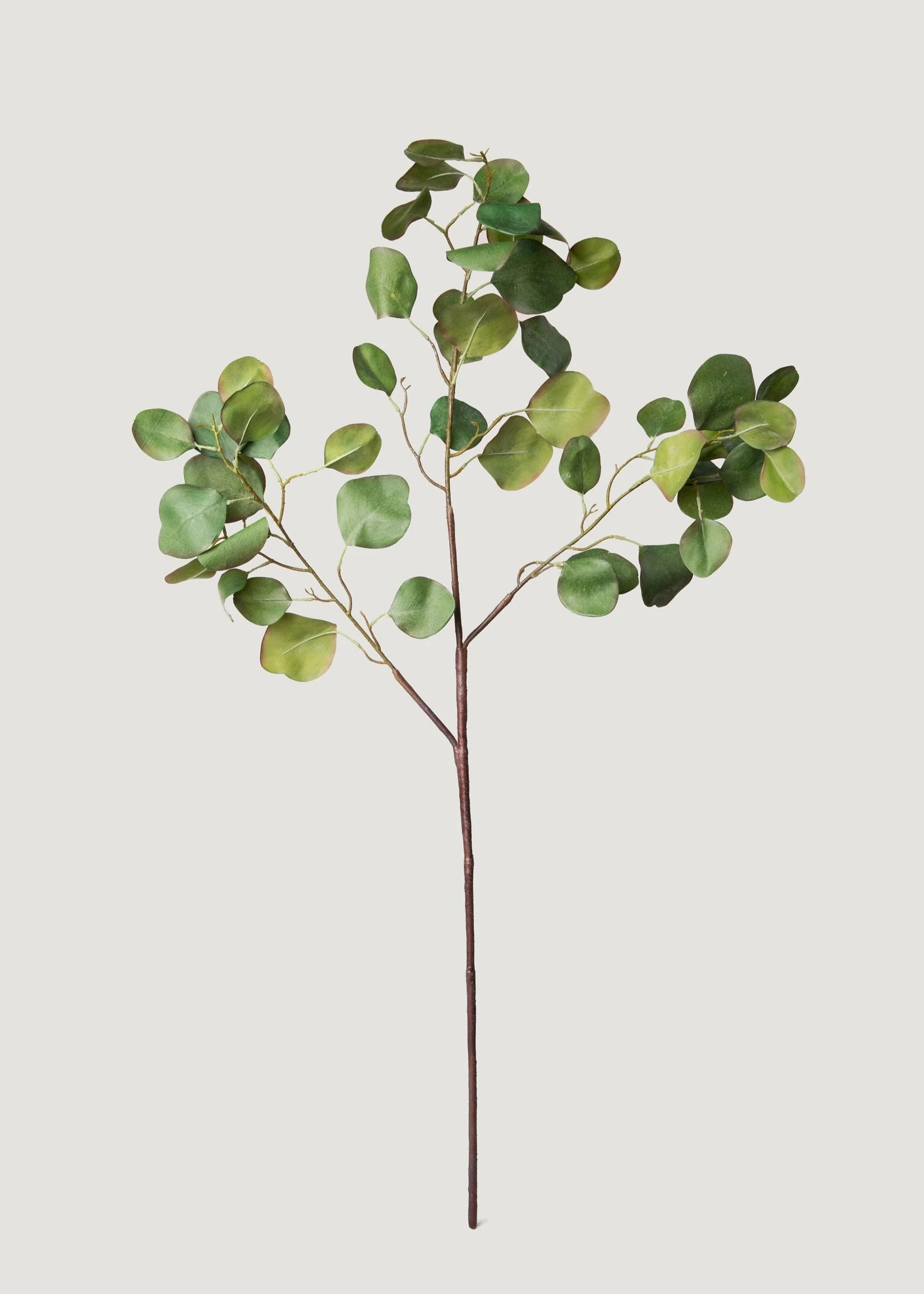 Silver Dollar Eucalyptus Branch | Lifelike Fake Green Stems | Afloral | Afloral