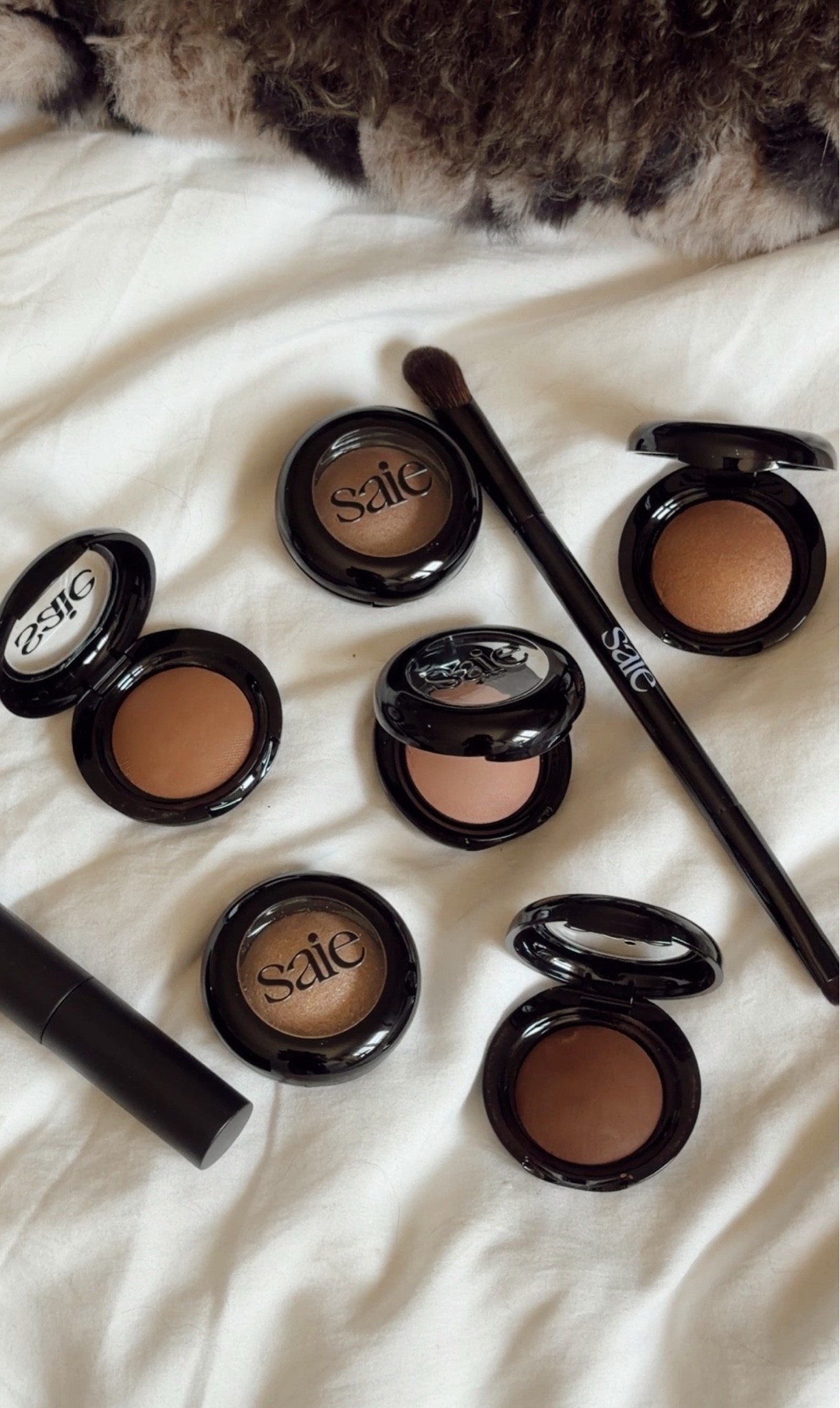 Loving these new eye shadows for a fall look!

#LTKmomlife #LTKgrwm #LTKBeauty