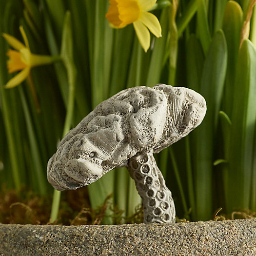 Brain Coral Mushroom Concrete Stake | Terrain