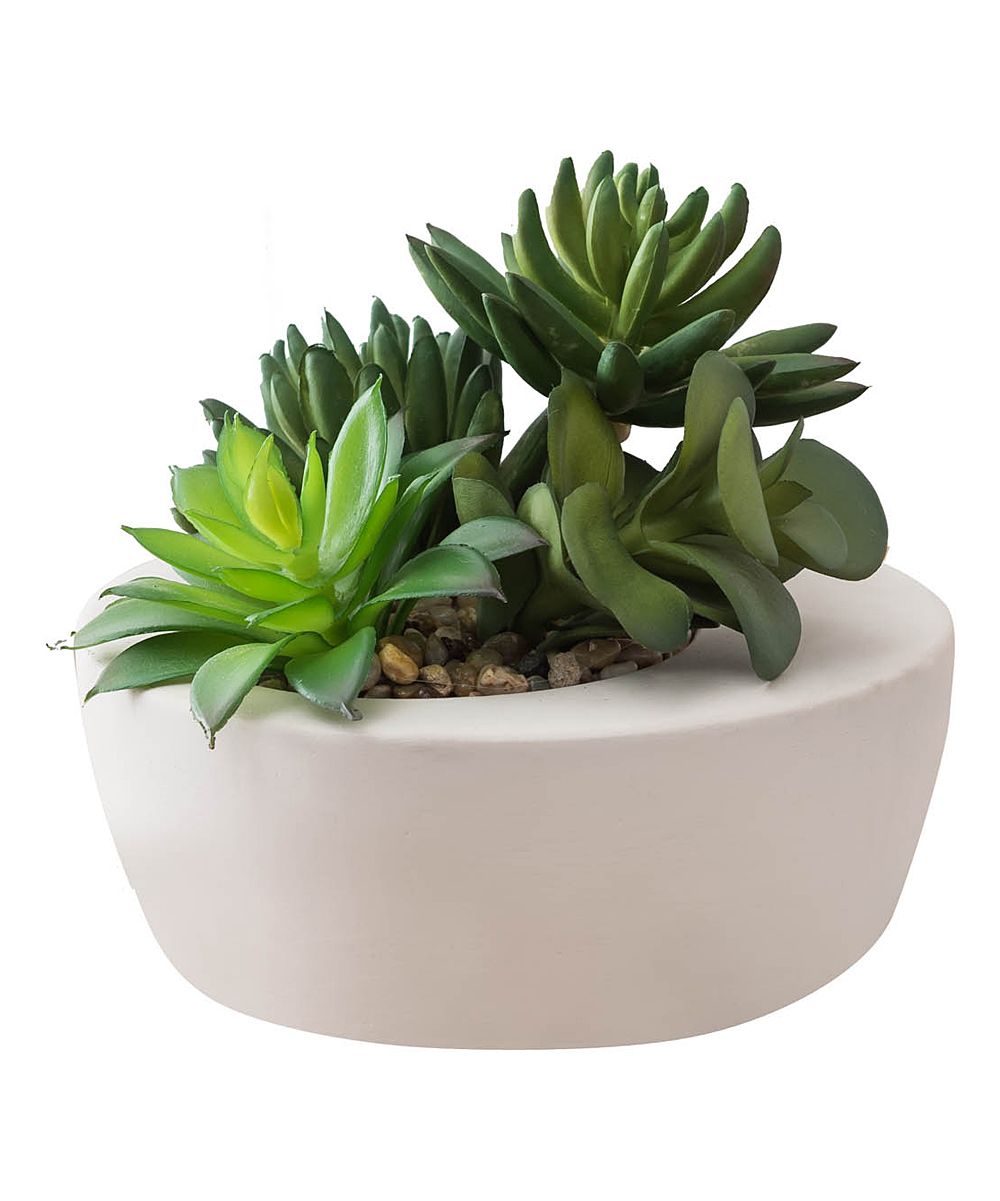 Hemsly Faux Plants Light - Light Green Cement Potted Succulents Arrangement | Zulily