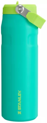 Stanley 24 oz. IceFlow Bottle with Flip Straw Lid | Dick's Sporting Goods