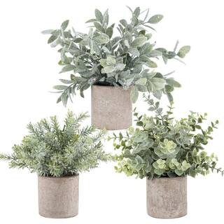 Mini Potted Grey Fake Plants Artificial Plastic Eucalyptus Plants for Home Office Desk Room Decor... | The Home Depot
