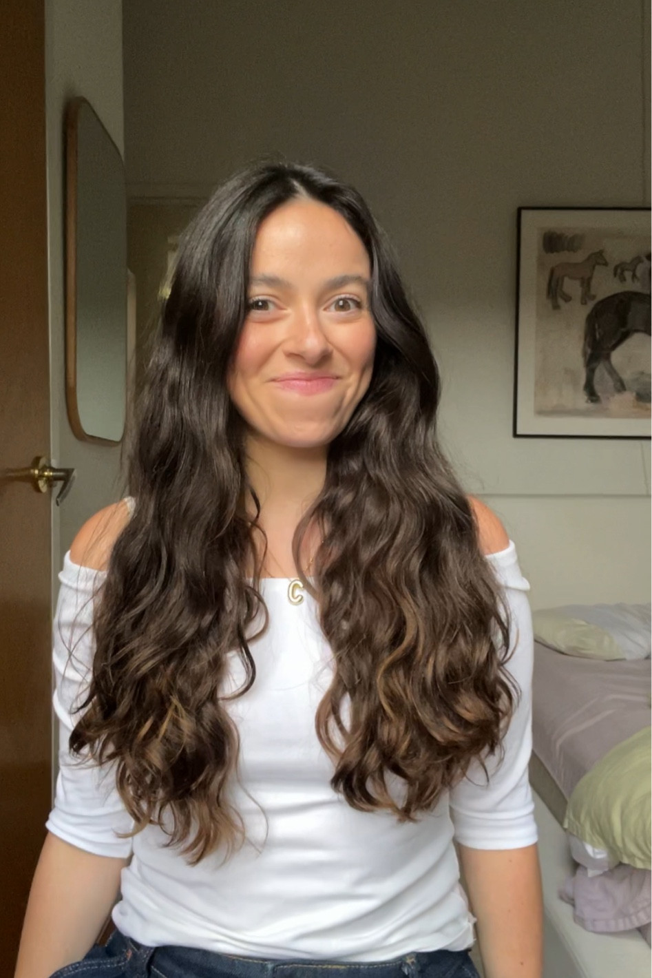 $12 air dry styler, top, and accessories!