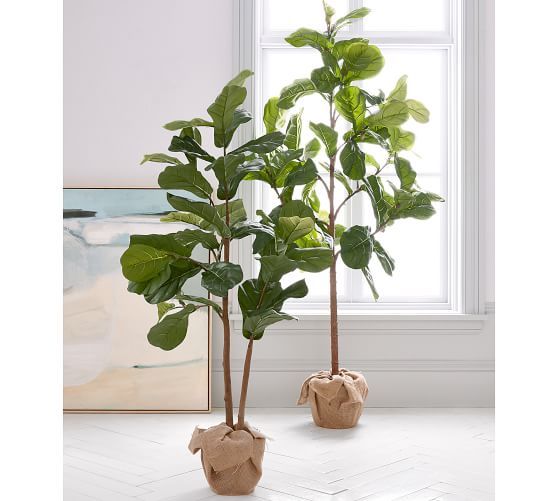 Faux Potted Fiddle Leaf Trees | Pottery Barn (US)