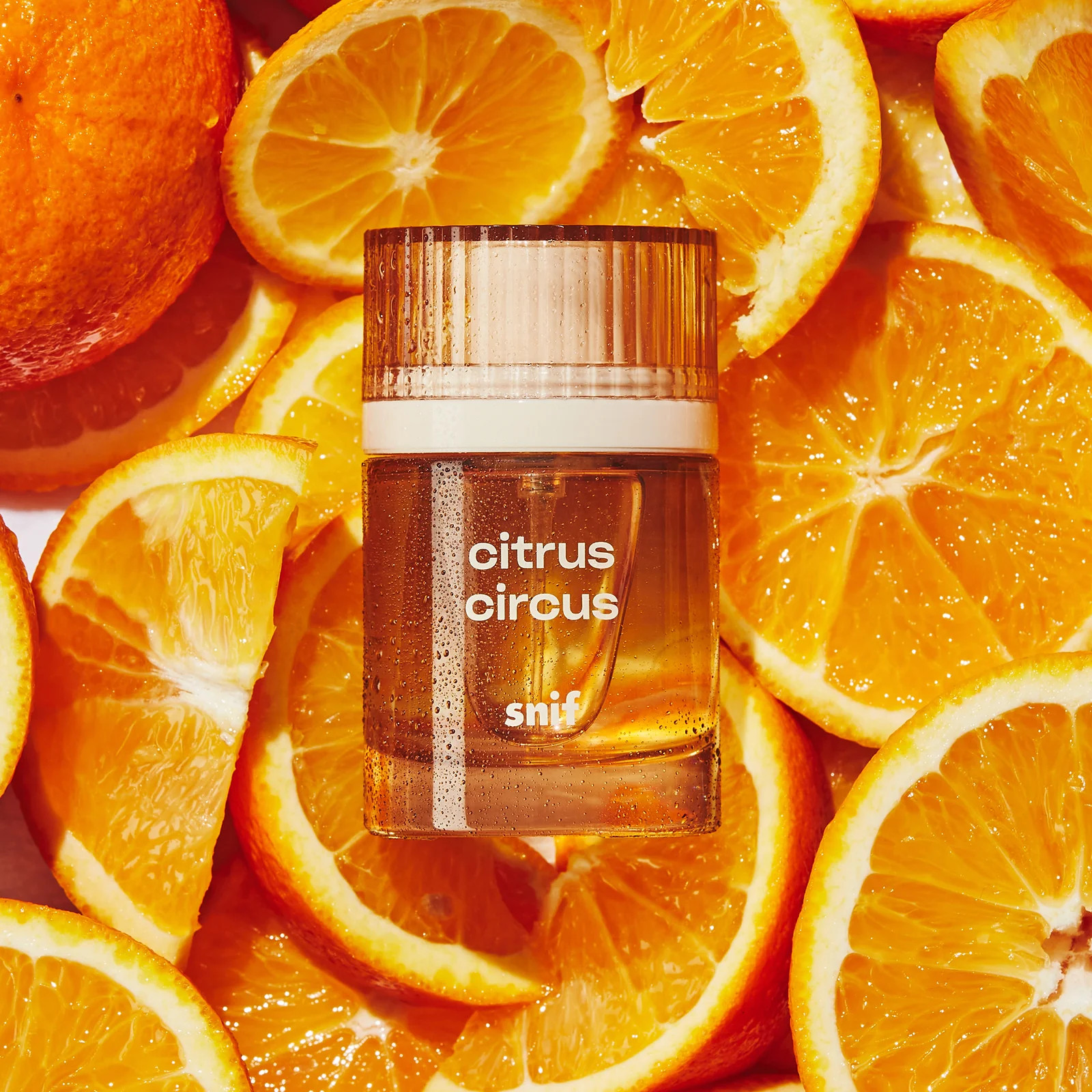 Citrus Circus | Snif