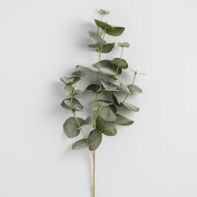 Faux Eucalyptus Spray | World Market