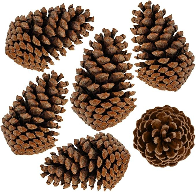 Supla 6 PCS 5"- 6" Tall Natural Pinecones Giant Pine Cones Large Pinecone Ornaments Real Preserve... | Amazon (US)