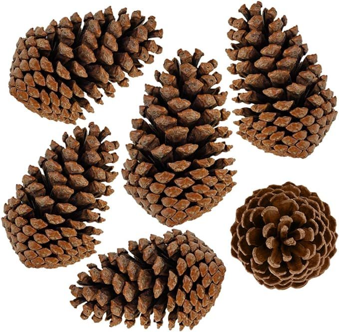 Supla 6 PCS 5"- 6" Tall Natural Pinecones Giant Pine Cones Large Pinecone Ornaments Real Preserve... | Amazon (US)