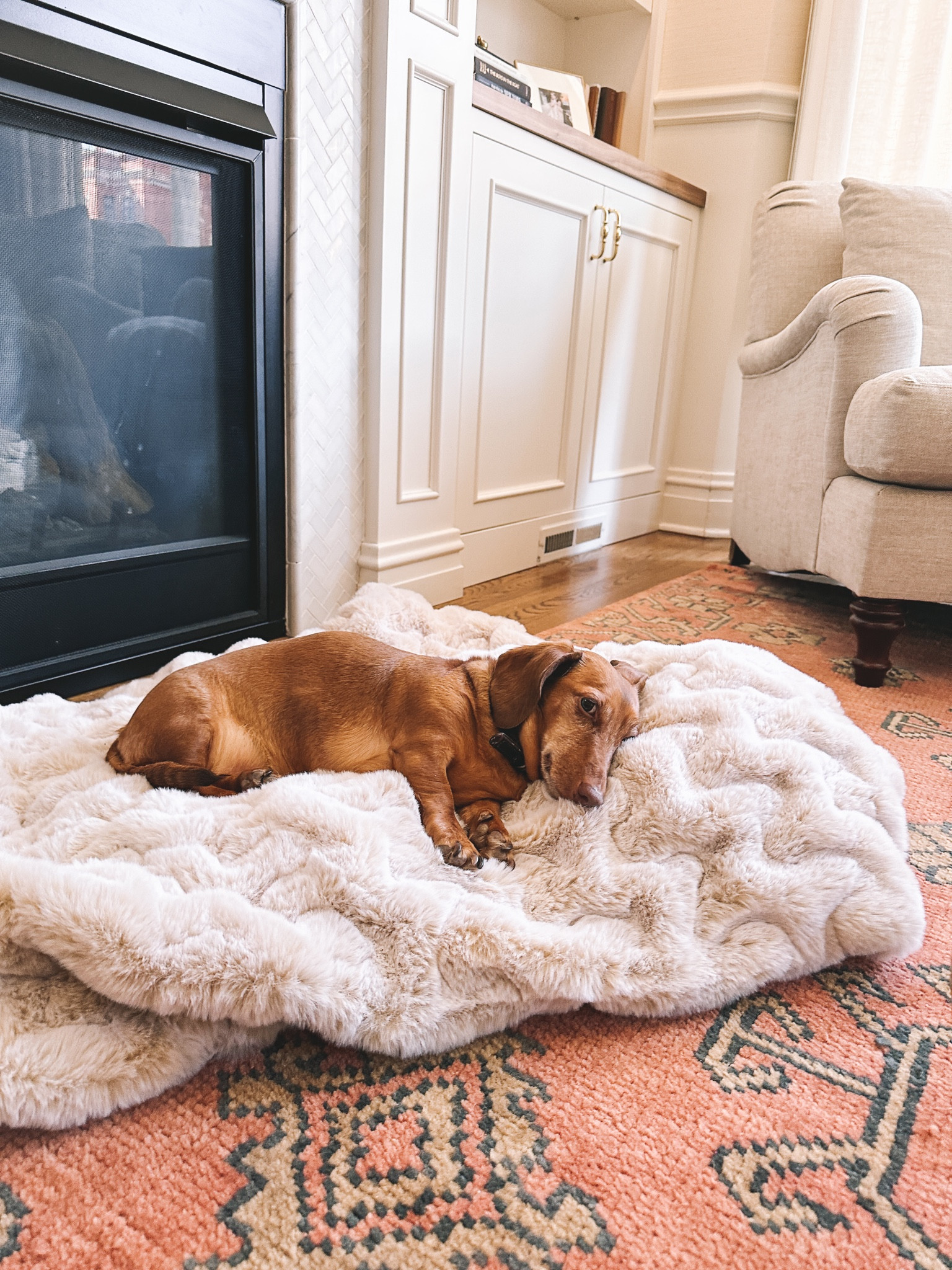 Tuesday vibes ✌🏻 our rug is 20 percent off today with code “SPRING” 

#LTKhome #LTKsalealert