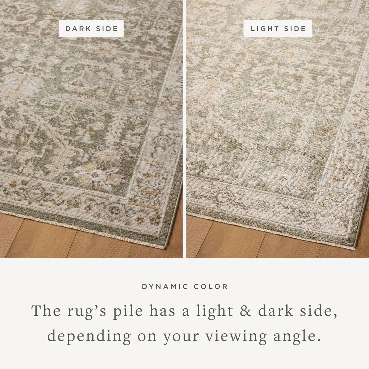Magnolia Home by Joanna Gaines x Loloi Pace Forrest / Natural Area Rug | Wayfair North America