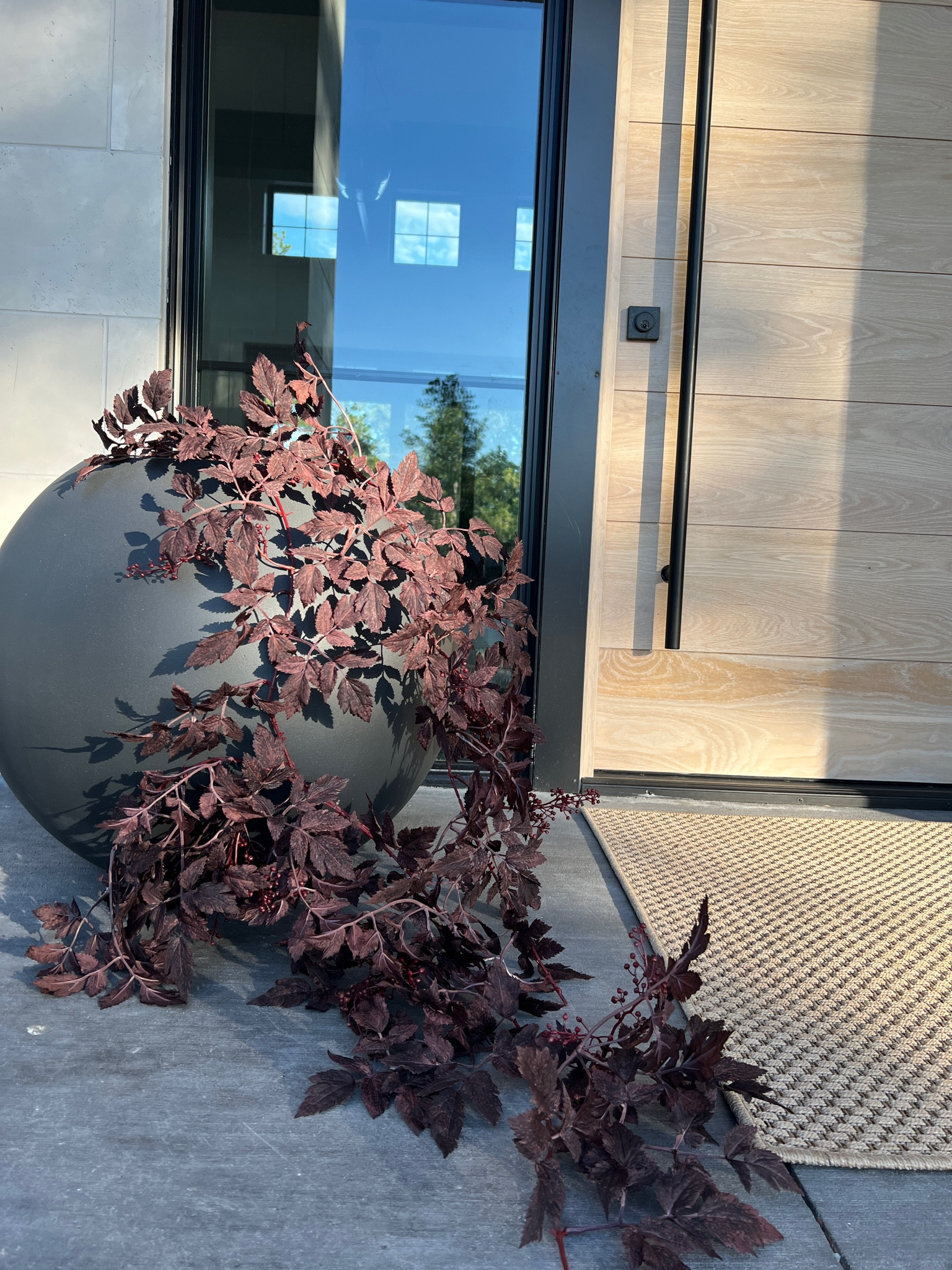 I had to pick up these large sphere planters from crate and barrel. Then these are nee fall stems from Afloral. These are for indoor use, but I had to snap a pic with them up against the dark planter. 

#LTKFind #LTKhome #LTKSeasonal