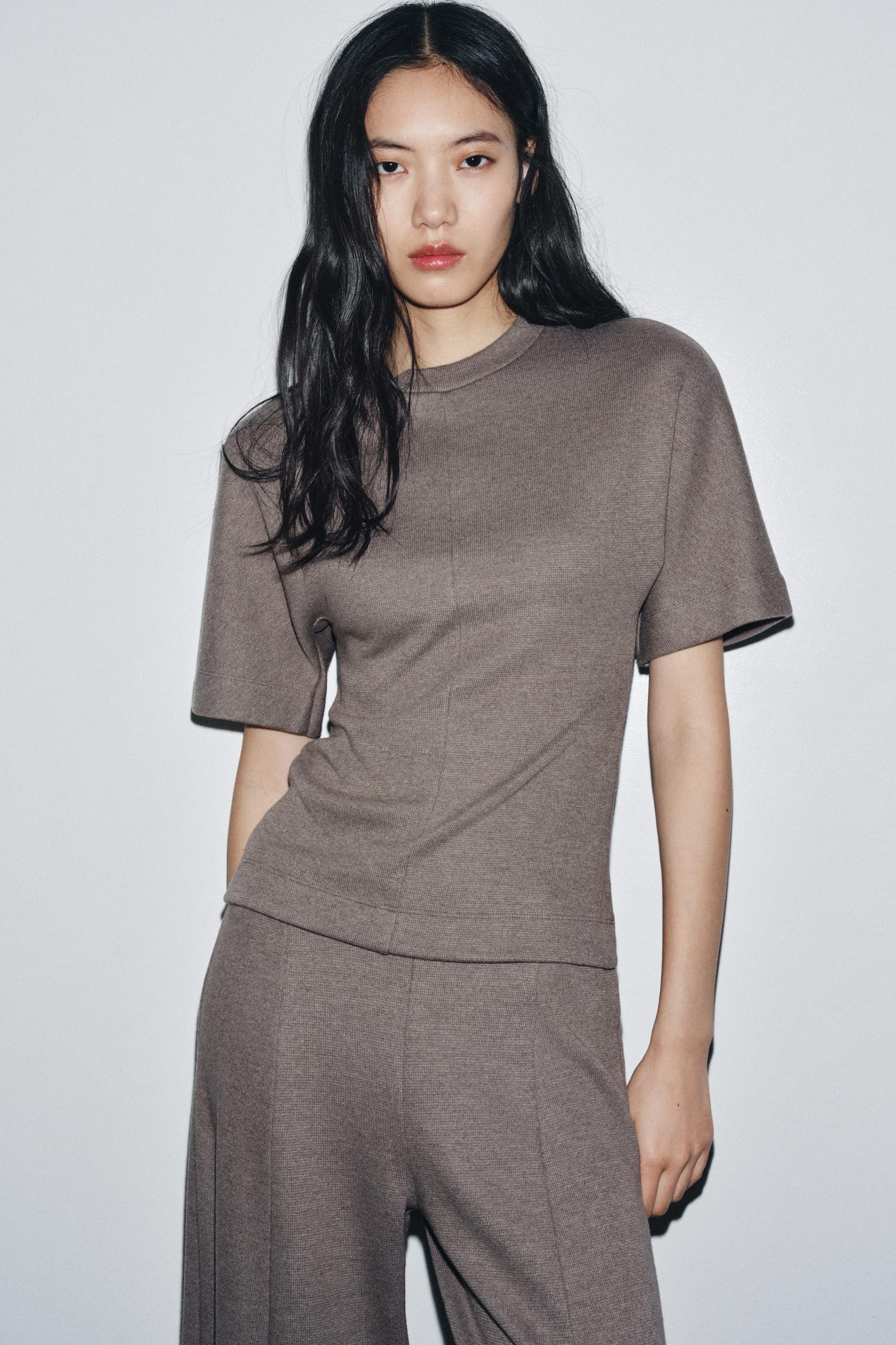 FITTED SOFT SHORT SLEEVE TOP | Zara AU