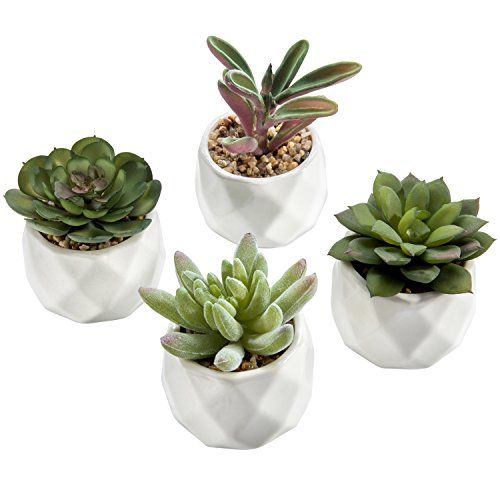 MyGift Miniature Artificial Succulents, Indoor Fake House Plants in Round White Geometric Ceramic Po | Amazon (US)
