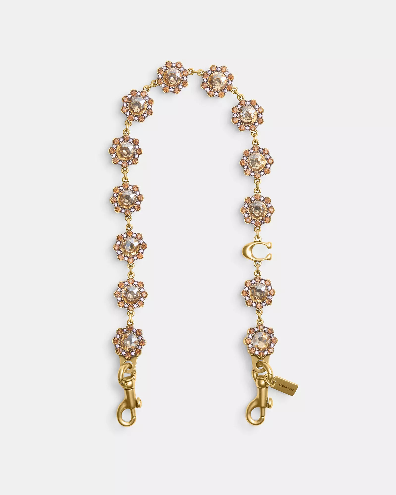 Short Jewelry Chain Strap | Coach (US)