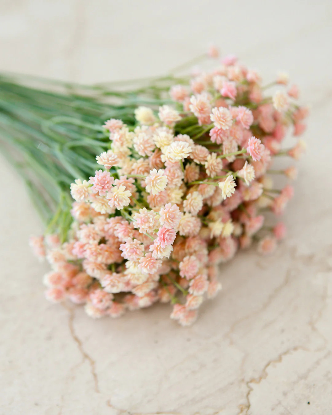 Blush Baby's Breath Stem - Preorder | Elements by Remedy