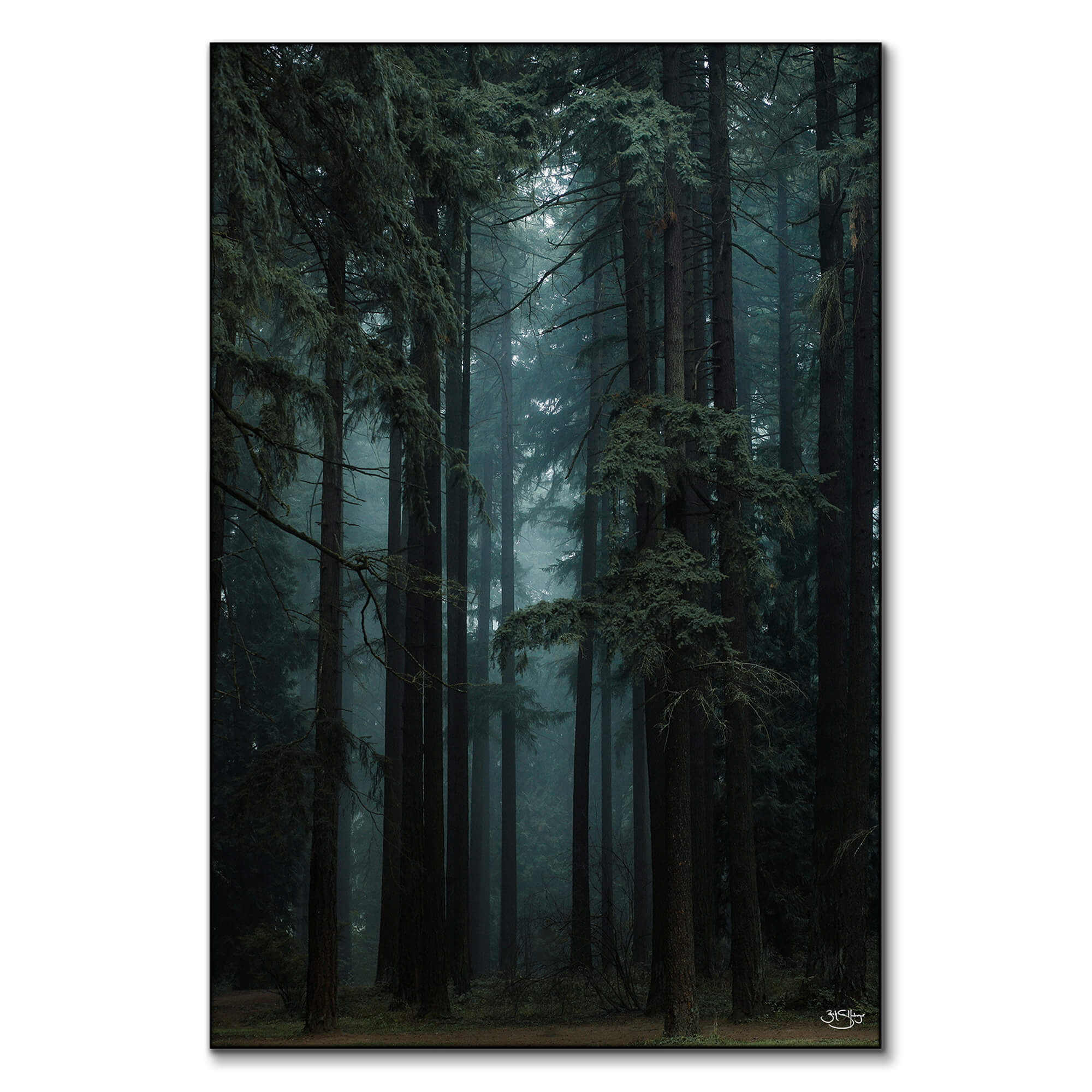 Oregon | Big Wall Decor (US)