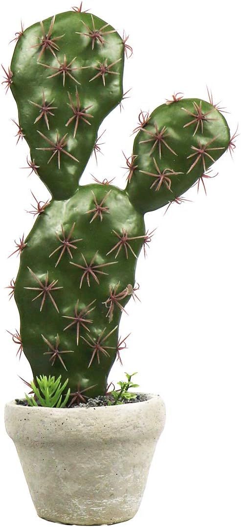 Bird Fiy Artificial Plant Faux Fake Saguaro Cactus Artificial Potted Plants in Cement Planter Pot... | Amazon (US)