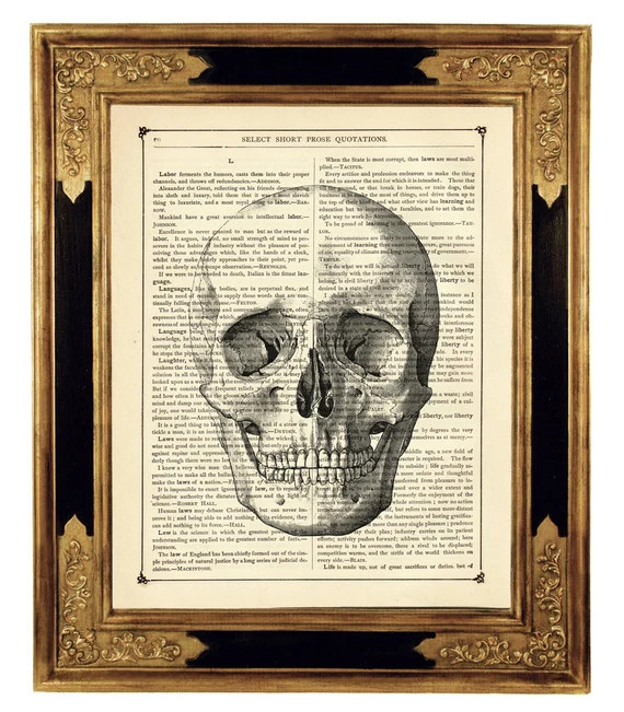 Human Skull Image Head Gothic Halloween Anatomy Poster  - Etsy | Etsy (US)