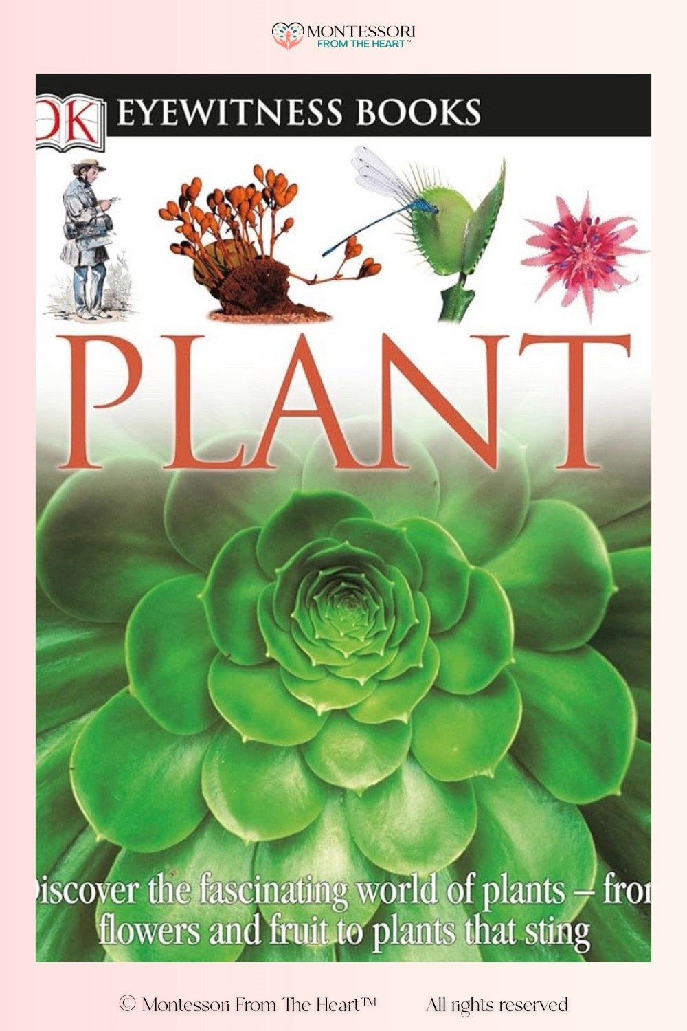 Plant Book for Kids By DK Eyewitness 

#LTKKids #LTKstorytime #LTKHome