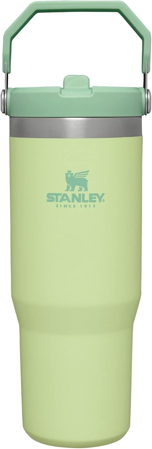 STANLEY IceFlow Stainless Steel Tumbler with Straw, Vacuum Insulated Water Bottle for Home, Offic... | Amazon (US)