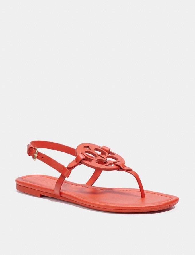 jaci sandal | Coach Outlet