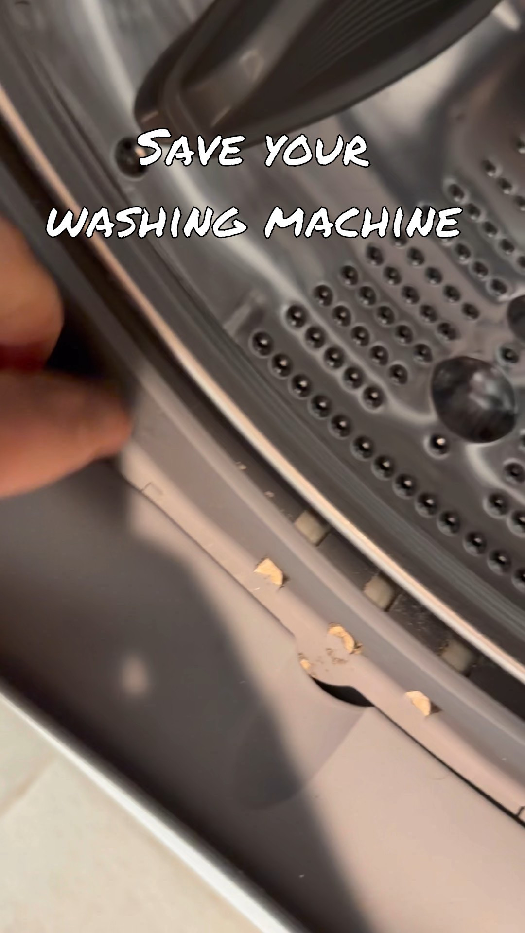 If you think your washing machine is clean… look closer 👀
That rubber seal buildup was hiding way more than I expected.
This washing machine cleaner makes it so easy — just drop one tablet into an empty washer and run a normal cycle. No scrubbing, no harsh smells, and it works for front-load & top-load machines.
I love that it’s septic-safe, eco-friendly, and this 24-pack lasts a full year, so it’s one less thing to think about. Such a simple swap for a fresher, cleaner laundry routine.

Use code 💎 K9BRSTAP – 10% off all ACTIVE products on Amazon

Linked here 🤍

#ltkhome #ltkfinds #ltkcleaning #laundryroom #cleanhomecleanmind
#washingmachinecleaner #homecleaning #cleanhometips
#momlifehacks #busyhome #cleaningroutine
#amazonfinds #householdessentials #homeorganization

#LTKFindsUnder50 #LTKSaleAlert #LTKHome