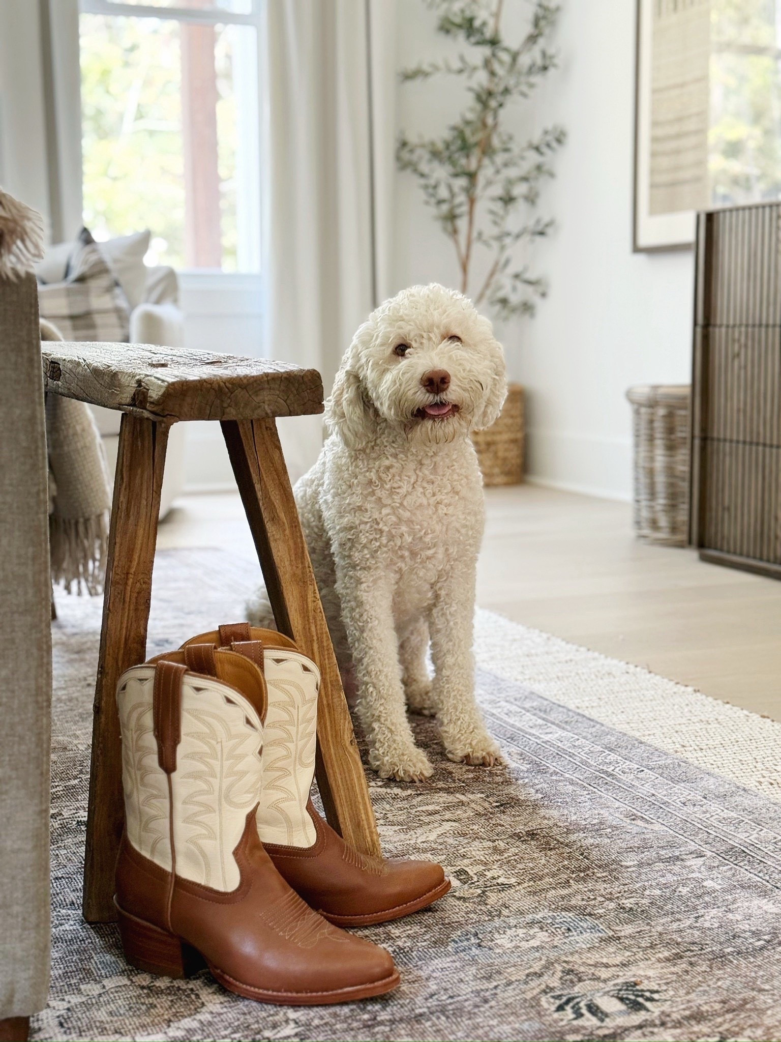 🌿 A corner with character. The warmth of cowboy boots against a neutral rug shows how small styling choices can transform an entire space.

Do you want to bring our dreamy Modern Classic style interior design into your own home? 🏡 You’re in luck! Reserve our Online Interior Design packages today -> https://porcheandco.com/edesign ✨ We can’t wait to work with you & design your home with #porcheandco

#porcheandco #modernclassicinteriors #neutralhomestyle #cowboybootsdecor #farmhousedecorideas #warmtonedecor #rusticmodernstyle #interiorstylingideas #moderndecor #edesign



#LTKstorytime #LTKHome #LTKvlog
