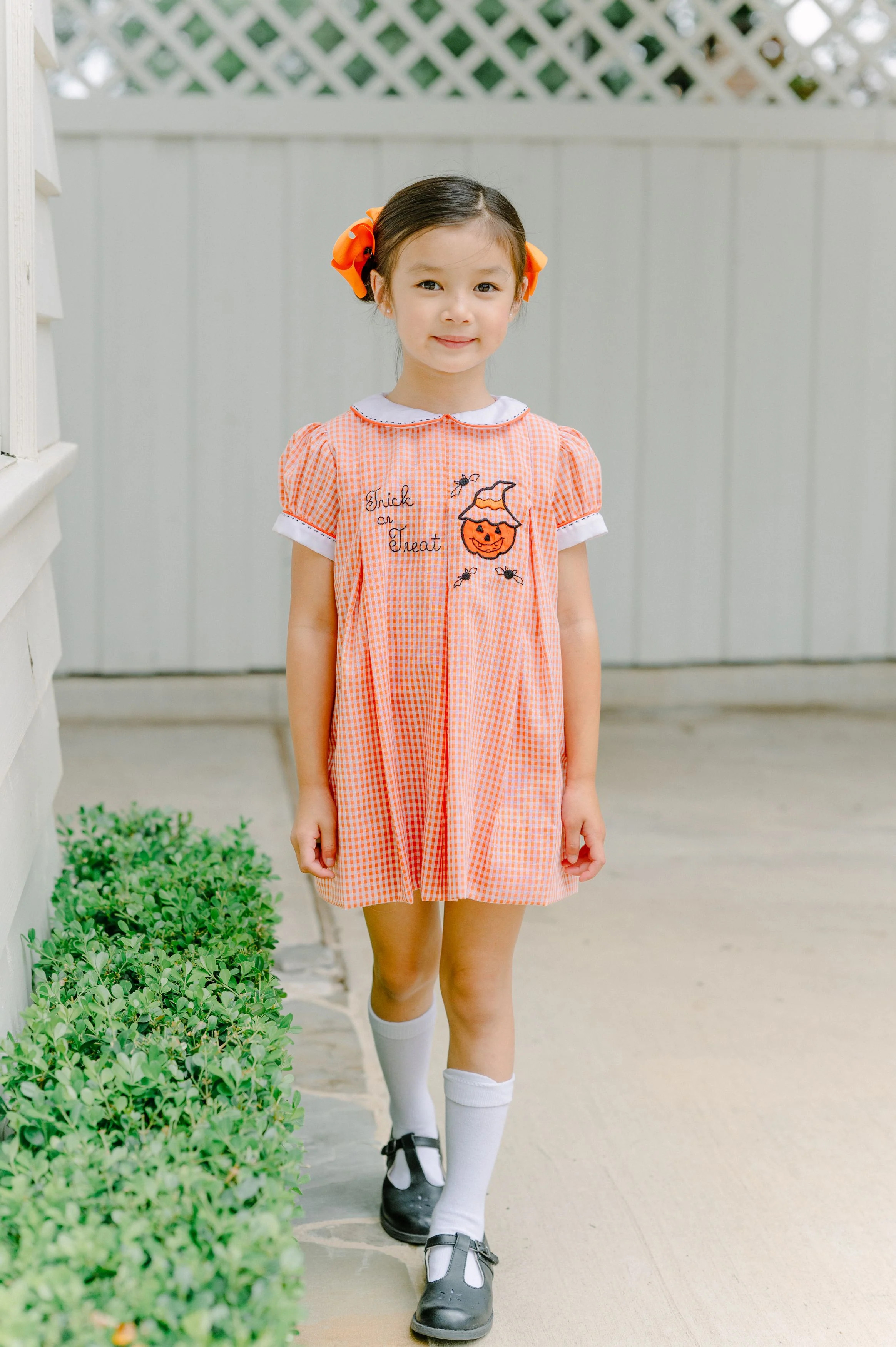 Trick or Treat Dress | Pre-Sale | Loozieloo