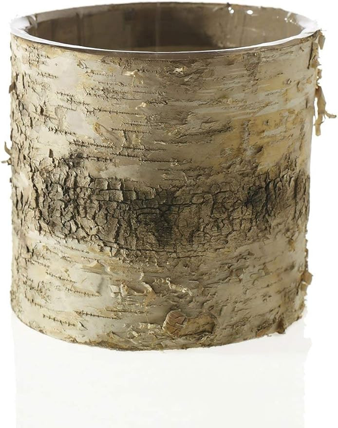 Afloral Natural Birch Vase with Clear Liner - 4.75" Tall x 4.75" Wide | Amazon (US)
