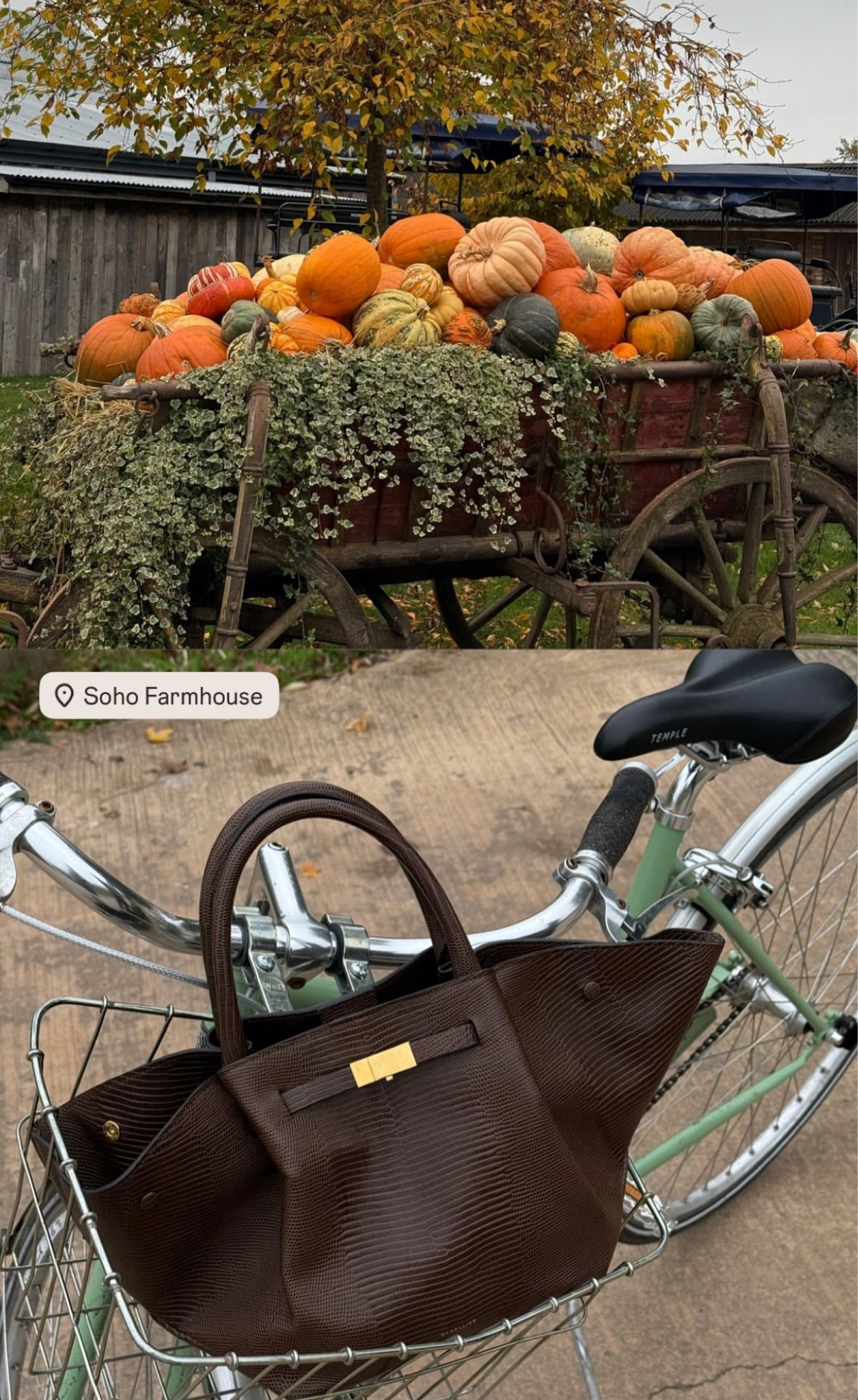 Weekend holidays and strolls in autumn are the best 🍂🤎 the only bag I’ll ever need, my Kate Hutchins x Demellier croc chocolate leather New York tote bag

#LTKbag #LTKautumn #LTKstyletip