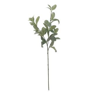 Green Long Leaf Eucalyptus Stem by Ashland® | Michaels Stores