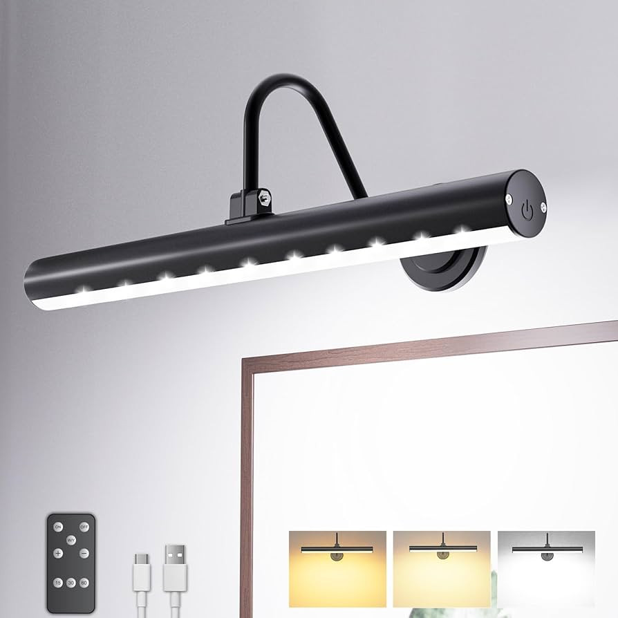 Bridika Picture Light Battery Operated, Wireless Picture Light with Remote, 3 Color Modes and Dim... | Amazon (US)