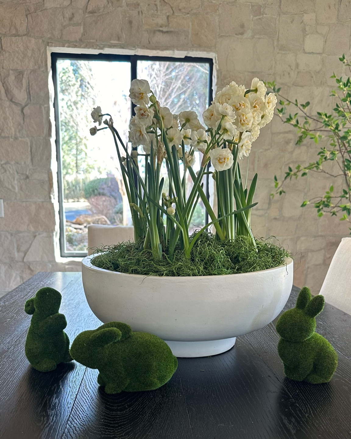 Easter centerpiece idea using three  6” potted white narcissus, a bag of Easter grass and a 16” diameter terracotta bowl. My exact grass bag and bowl are linked here!

#LTKhome #LTKSeasonal