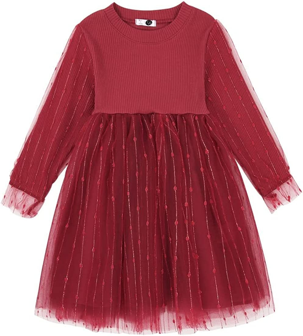 Toddler Baby Girl's Fall Dress Outfit Knit Long Sleeve Fluffy Gold Wire Decoration Tulle Dress Princ | Amazon (US)
