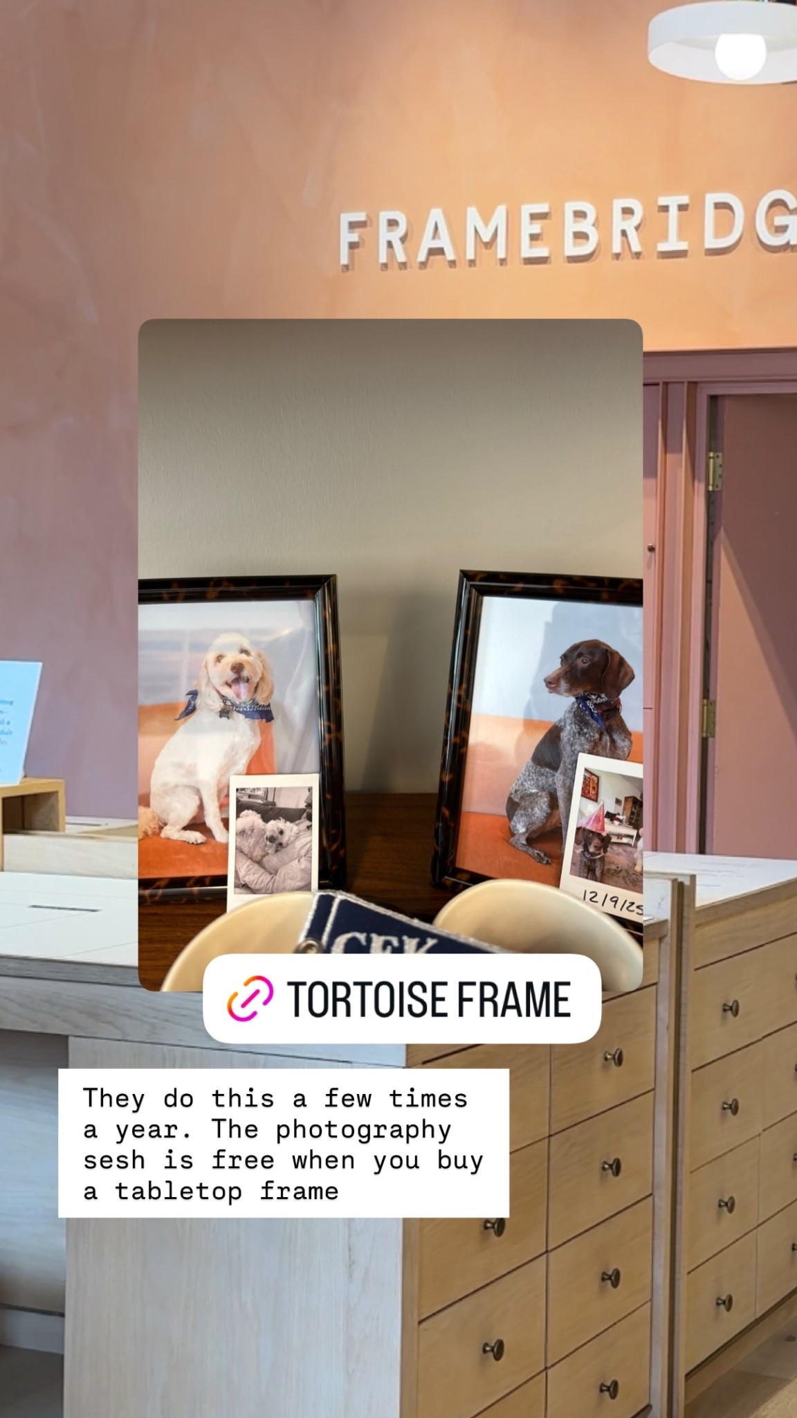 They do this a few times a year. The photography sesh is free when you buy a tabletop frame @framebridge framebridge frame, tortoise frame

#LTKHome