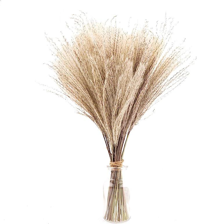 50 Pieces White Natural Dried Pampas Grass Artificial 40cm Boho Home Decor Natural Phragmites Com... | Amazon (UK)