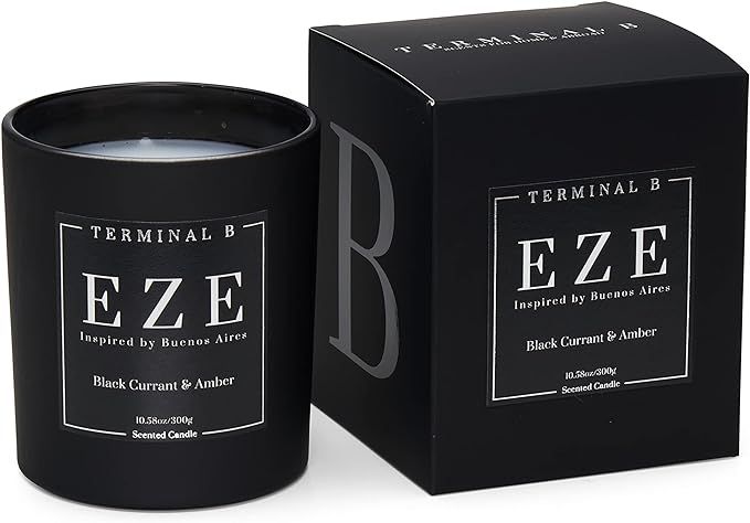 TERMINAL B Luxury Scented Candle, EZE - Buenos Aires: Black Currant & Amber, Travel Inspired Airp... | Amazon (US)