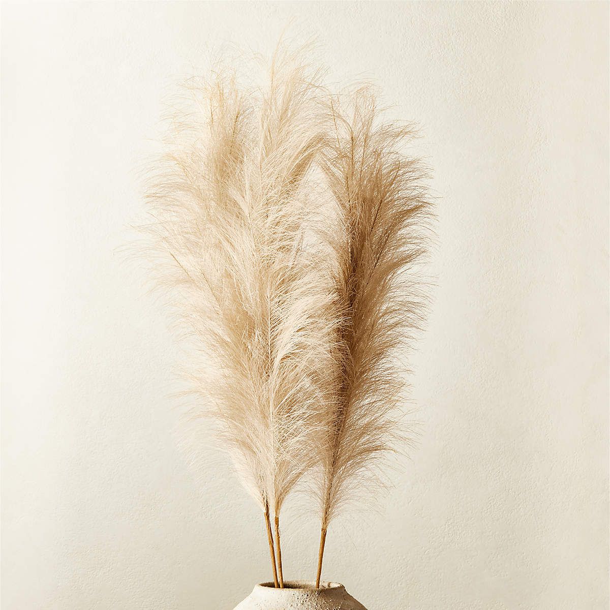 Faux Pampas Grass Amber Stem 39" | CB2 | CB2