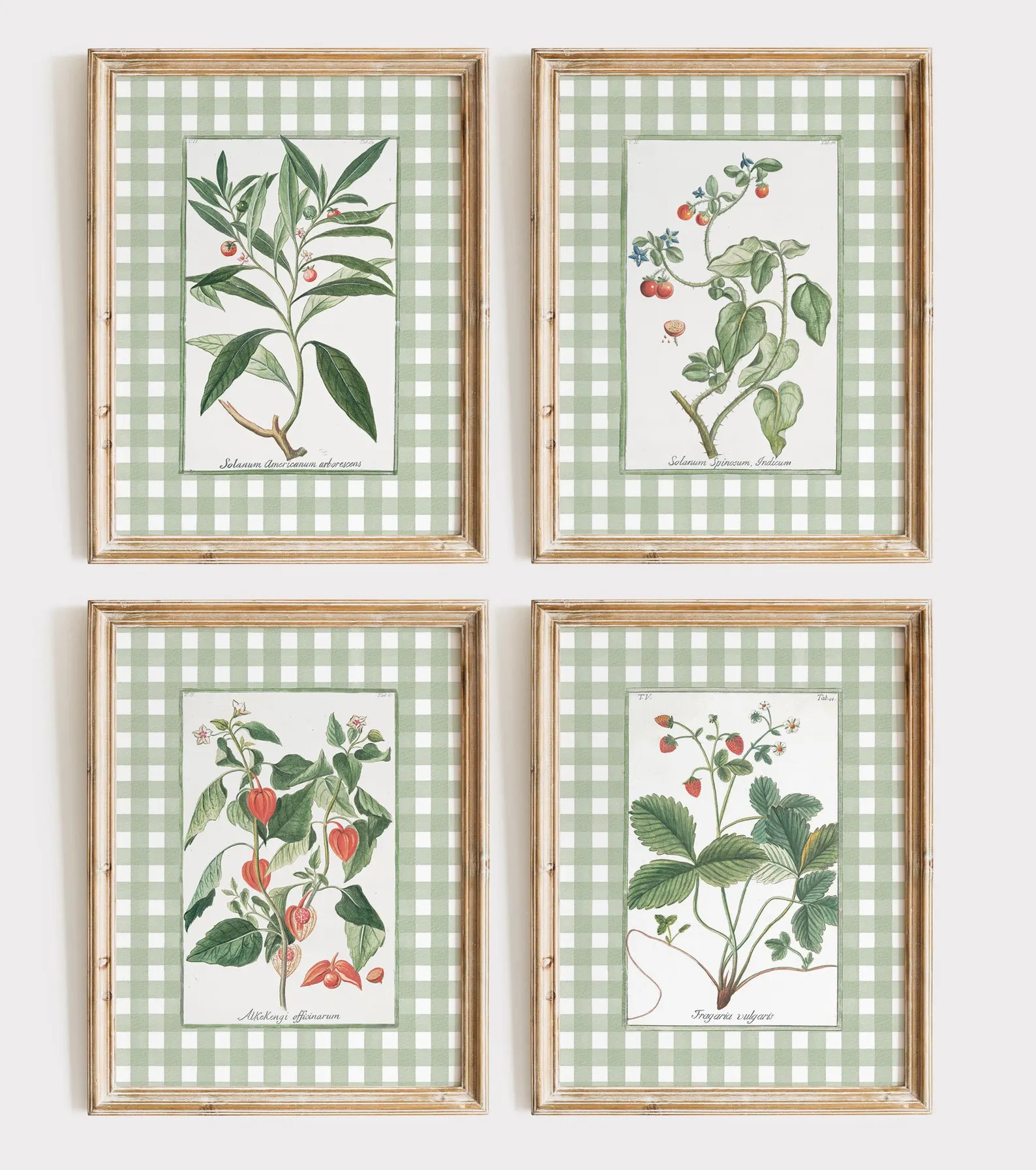 Botanical Art Prints, Sage Green Gingham, Antique Floral (Digital Download) | Etsy (Global)